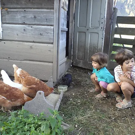 Farm stay Matlhof *
